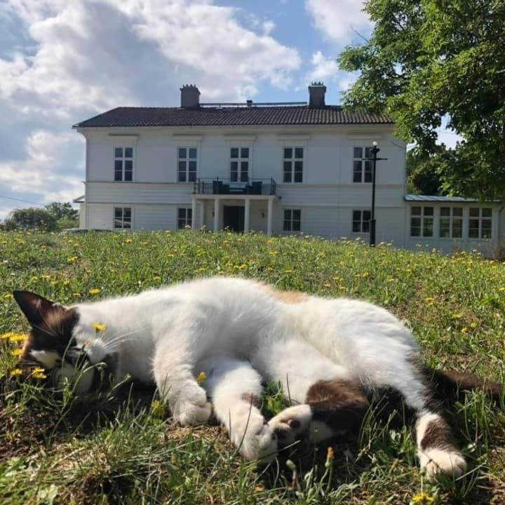 Bed and Breakfast Amiralsgården Werstorp Karlskrona Exterior foto