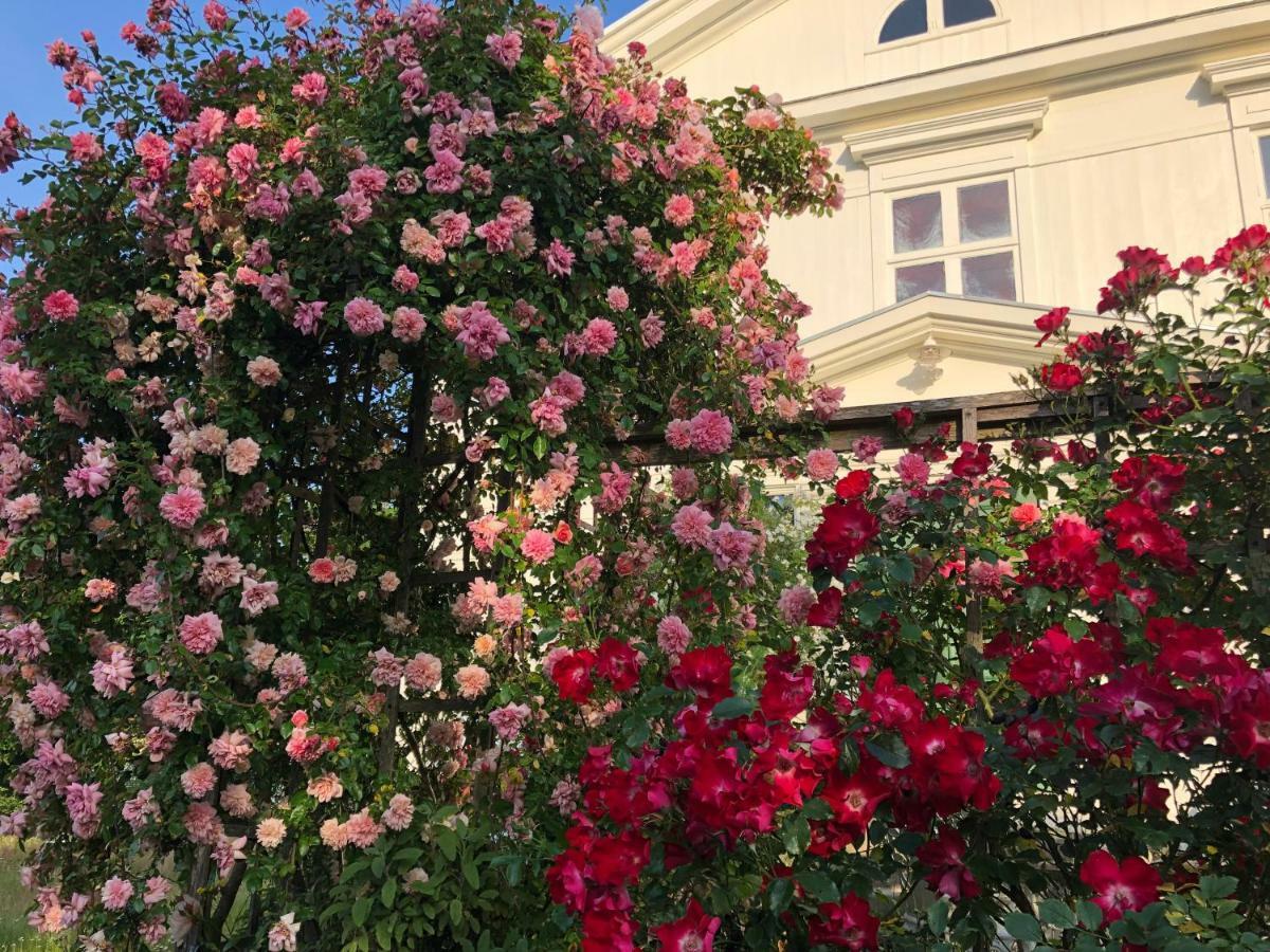 Bed and Breakfast Amiralsgården Werstorp Karlskrona Exterior foto